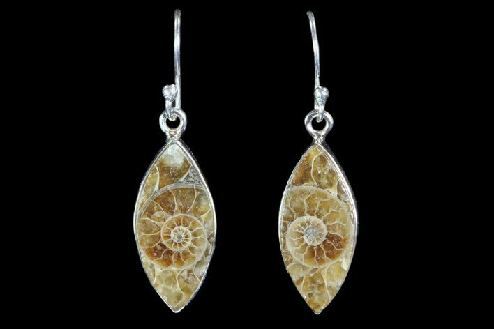 Fossil Ammonite Earrings - Sterling Silver #81635